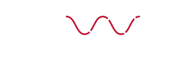 Logo TheWoice